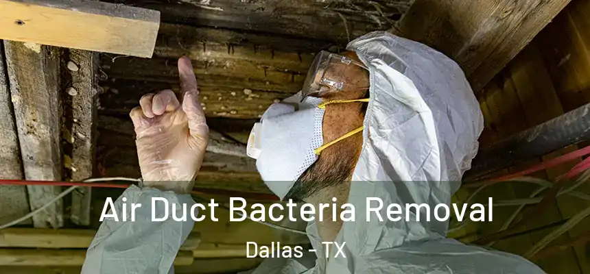  Air Duct Bacteria Removal Dallas - TX