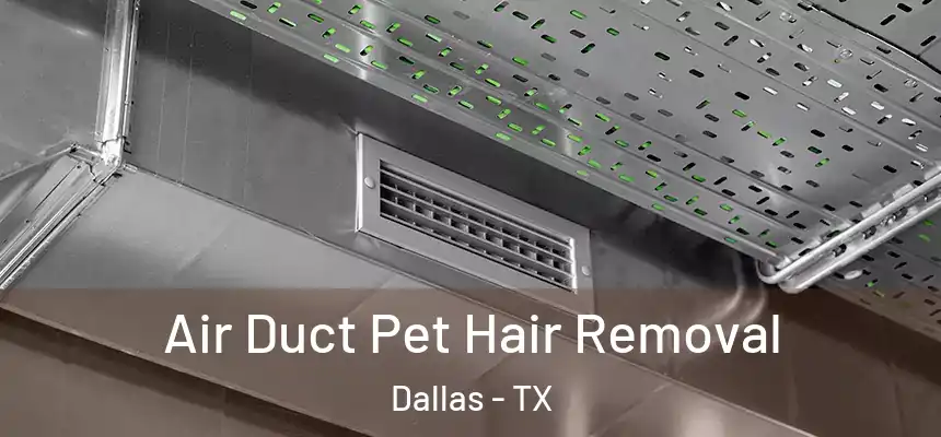  Air Duct Pet Hair Removal Dallas - TX