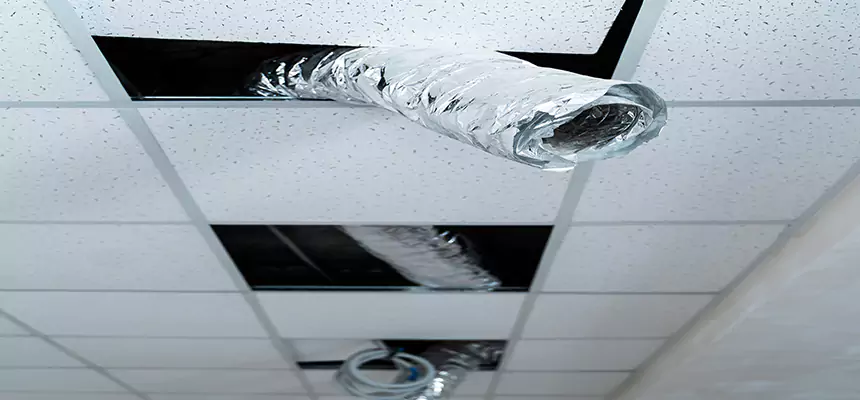 Our Air Duct Pet Hair Removal Services in Dallas, TX