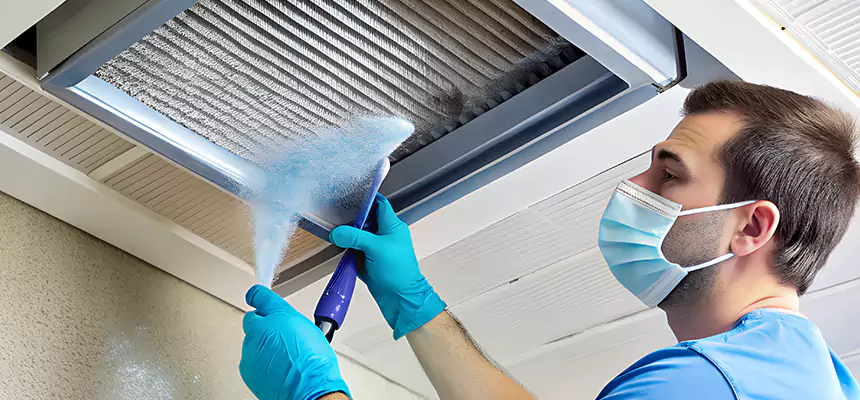 Proactive Dryer Vent & Auxiliary Duct Pollen Cleanup in Dallas, TX