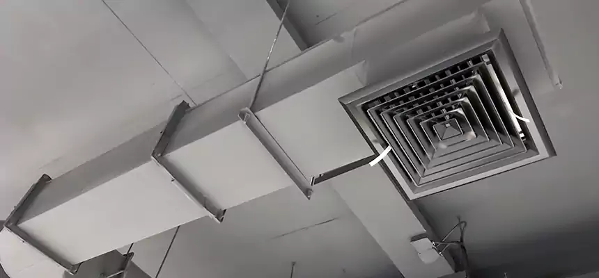 Our Pest Removal From Ducts Services in Dallas, TX