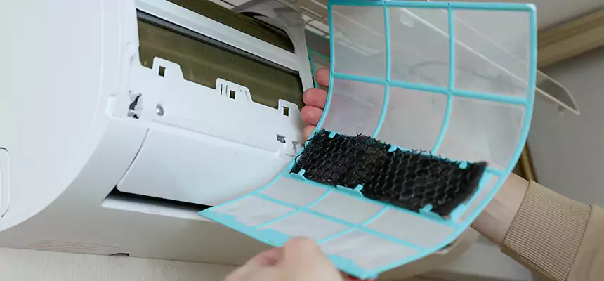 Gentle Ductwork Odor-Control Pet Dander Duct Cleaning in Dallas, TX