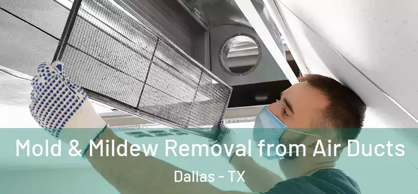 Mold & Mildew Removal from Air Ducts Dallas - TX