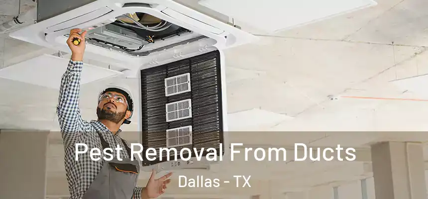 Pest Removal From Ducts Dallas - TX