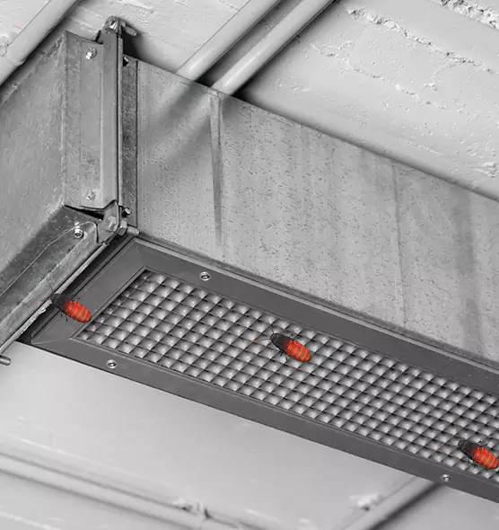 About Air Duct Cockroach Removal in Dallas, TX