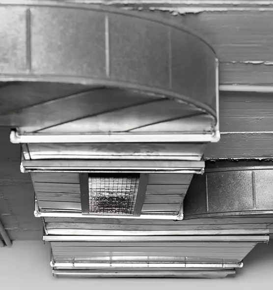 Professional Air Duct Pet Hair Removal in Dallas, TX