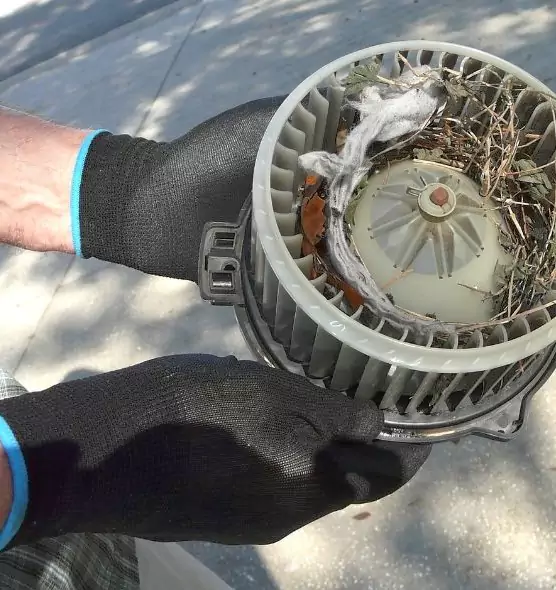 About Air Duct Rat Removal in Dallas, TX