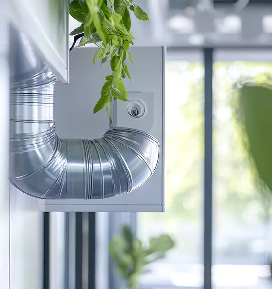 Professional Eco-Friendly Duct Cleaning Services in Dallas, TX