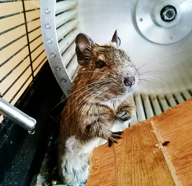 Why Homeowners & Businesses Trust Us Dallas, TX