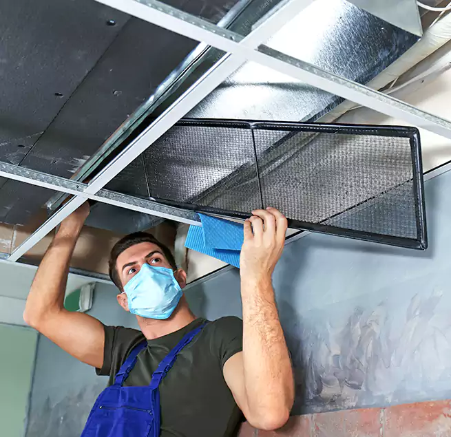 Why Homeowners Businesses Trust Us in Dallas, TX