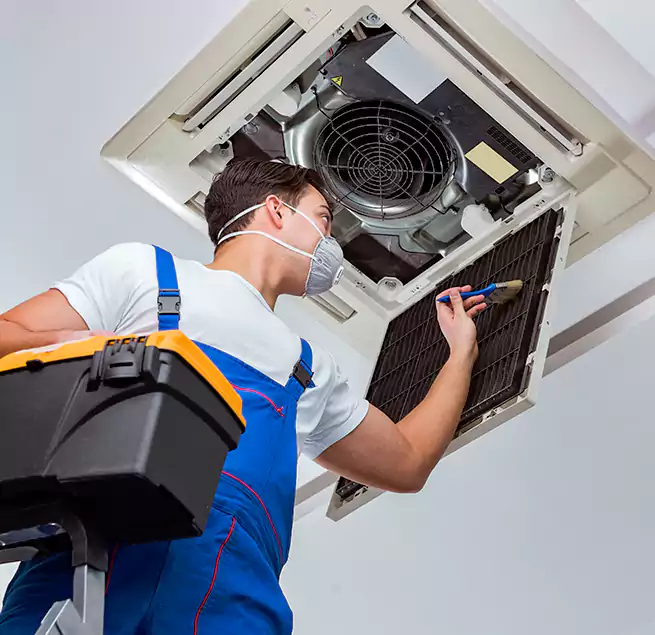 Why Homeowners & Businesses Trust Us in Dallas, TX?