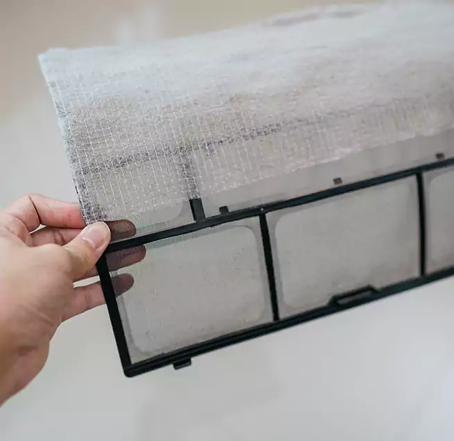 Why Homeowners & Businesses Trust Us in Dallas, TX?